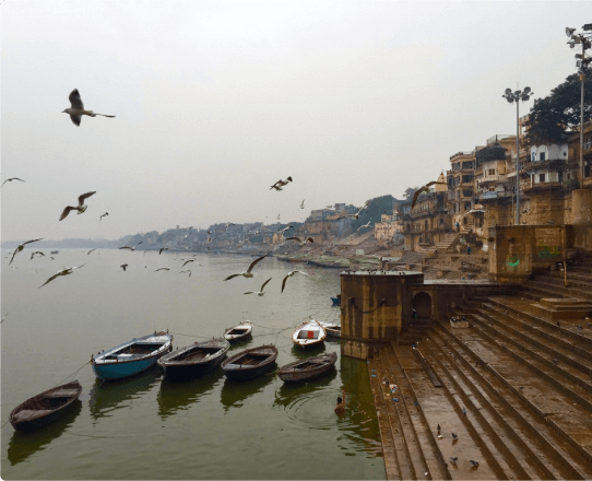 blog-image (10) blog-image (10)